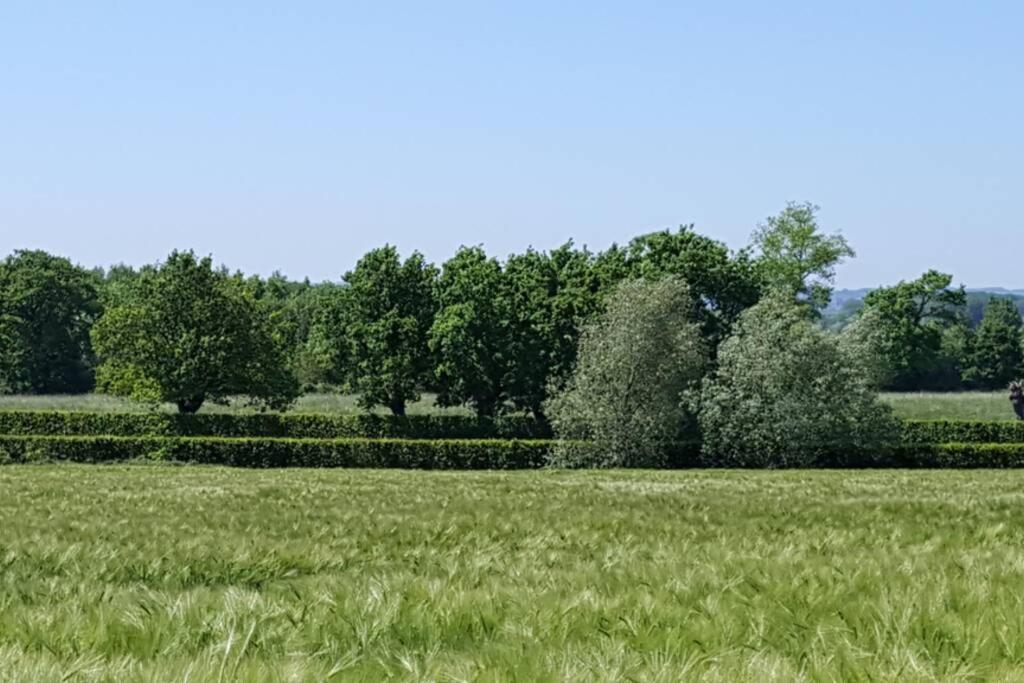 Gite Du Bocage Buysscheure Екстериор снимка